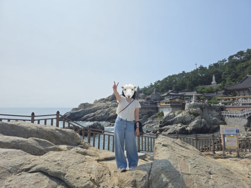 부산 여행 해동용궁사 방문 후기 꿀팁 주차 정보