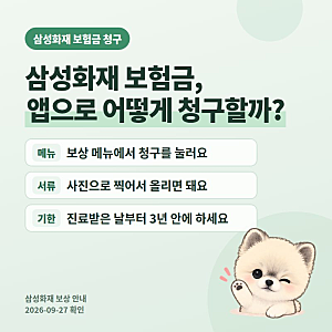삼성화재 보험금 청구 방법 2026, 앱으로 끝내는 순서와 통원·입원 필요서류