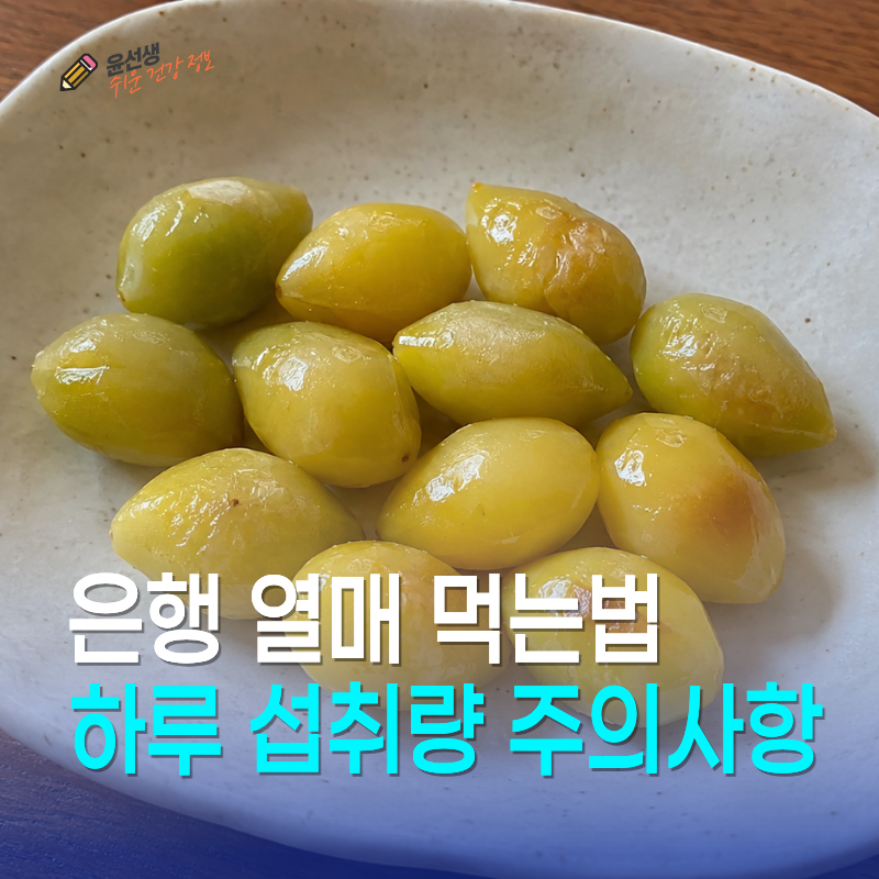 은행 열매 먹는법, 하루 섭취량과 독성 주의사항