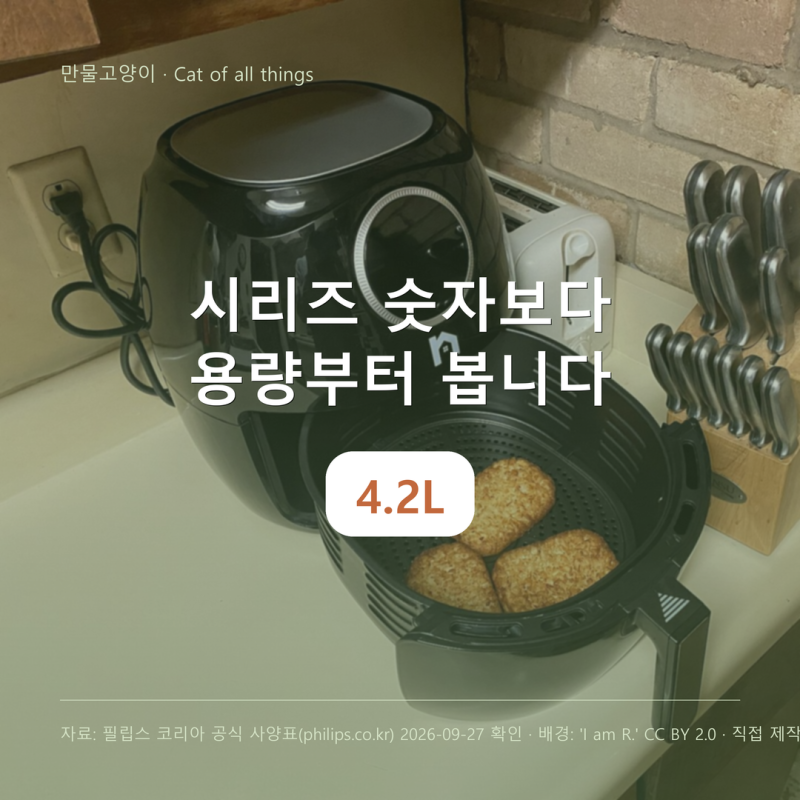 필립스 에어프라이어, 시리즈 숫자보다 용량·바스켓·조작 방식으로 고릅니다