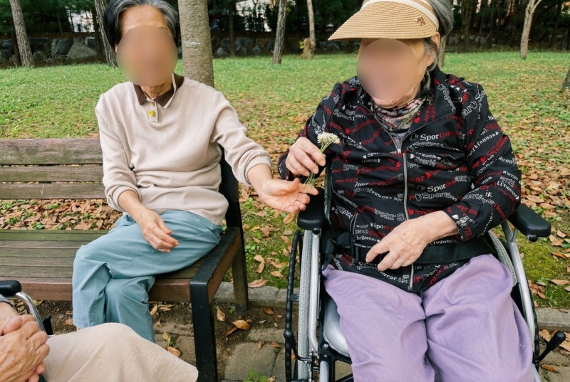 "제발 그냥 두지 마세요" 경도인지장애 판정 후 하면 안 되는 행동