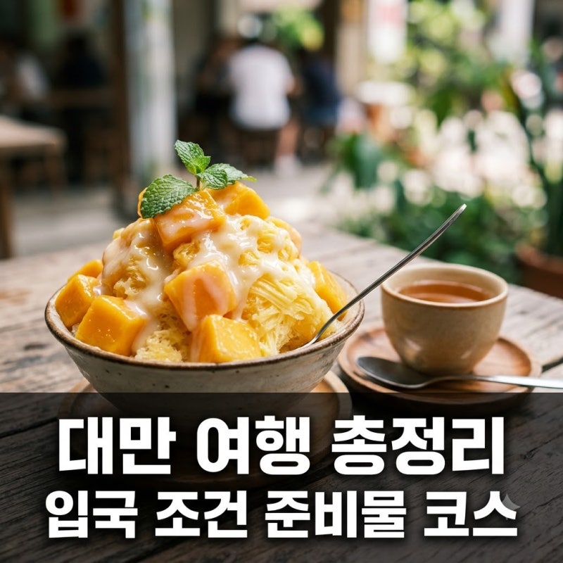 대만 여행 준비물부터 입국 신고 날씨와 여행지 총정리
