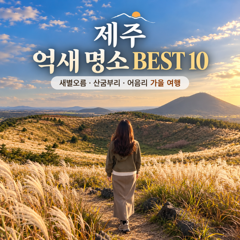 제주 억새 명소 BEST 10｜새별오름·산굼부리·어음리 가을 여행
