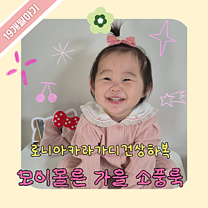 20개월 아기 가을 옷 : 모이몰른 로니아카라 가디건 상하복 후기 아기 소풍룩으로 추천