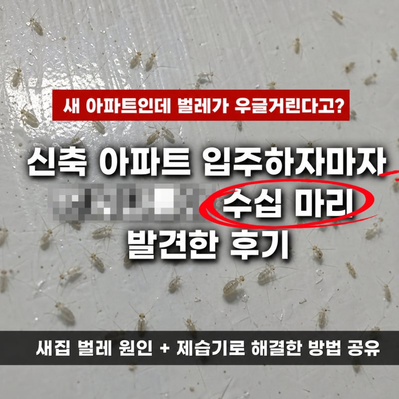 "충격!" 신축 아파트에도 흔히 생기는 꼬물꼬물 벌레 막는법