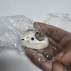 한정선 요거트 찹쌀떡 만들기, 블루베리요거트 찹쌀떡, 복숭아요거트 찹쌀떡