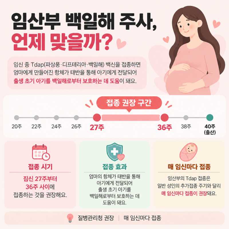 임산부 백일해 주사 가격 비교｜제주 저렴한 곳.가족 접종주기 총정리