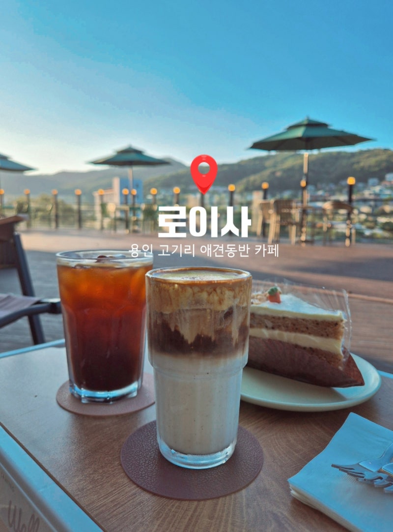 [용인 고기리 카페] 로이사｜탁 트인 산뷰와 넓은 야외 데크를 갖춘 애견동반 카페