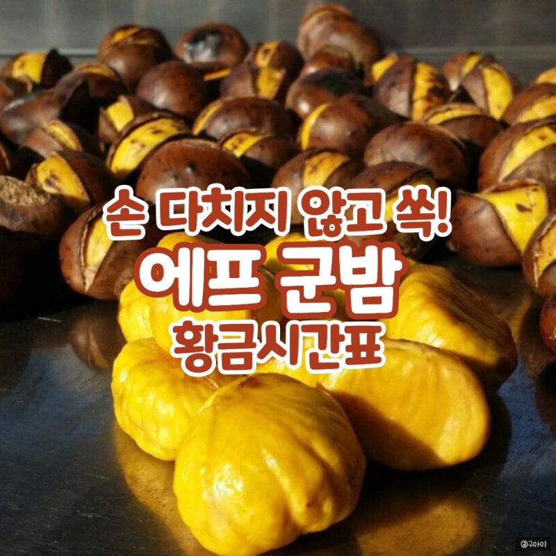 에어프라이어 군밤 굽는법! 칼집밤 약단밤 차이와 껍질 쏙 벗기는 시간 꿀팁