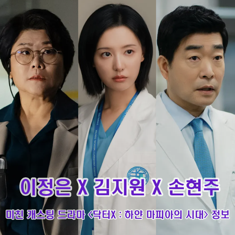 닥터x 하얀 마피아의 시대 기본정보 김지원 X 이정은 X 손현주 캐스팅 미쳤네 줄거리 등장인....