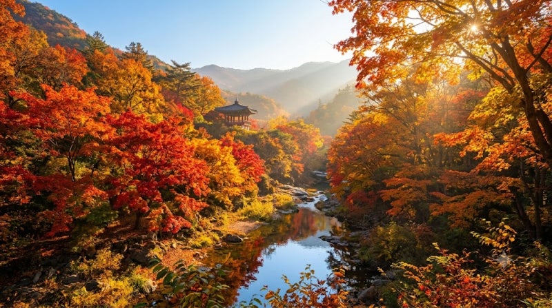 10월 국내여행지 가볼만한곳 추천 BEST 4 단풍 절정 시기부터 가을 옷차림 꿀팁까지