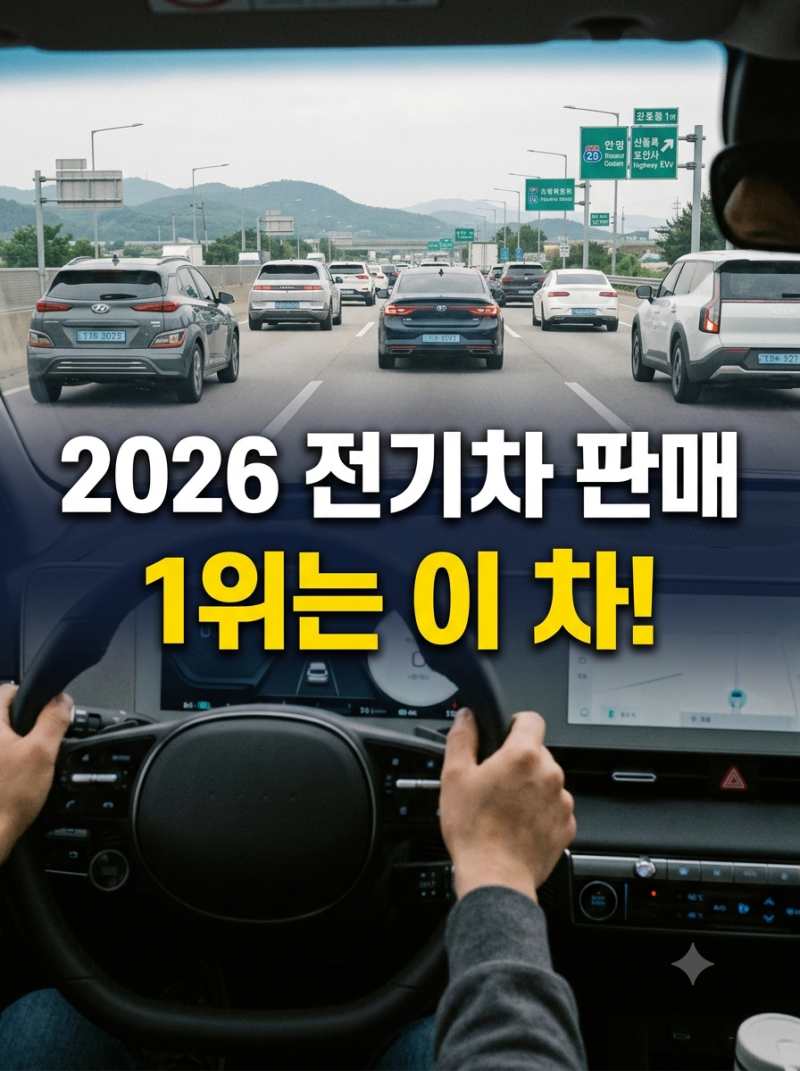 2026년 8월 전기차 판매순위 TOP10｜테슬라 모델Y부터 기아·현대·BYD까지