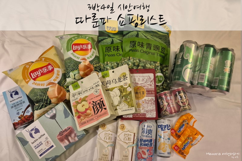 3박4일 시안여행 :: 중국 시안 따룬파 쇼핑리스트, 기념품
