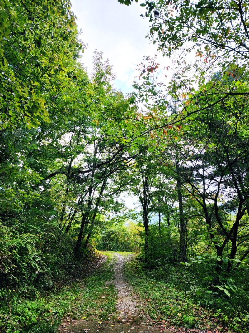 가평 유명산 자연휴양림｜초보도 걸어본 계곡길·박쥐소 5.2km 트레킹