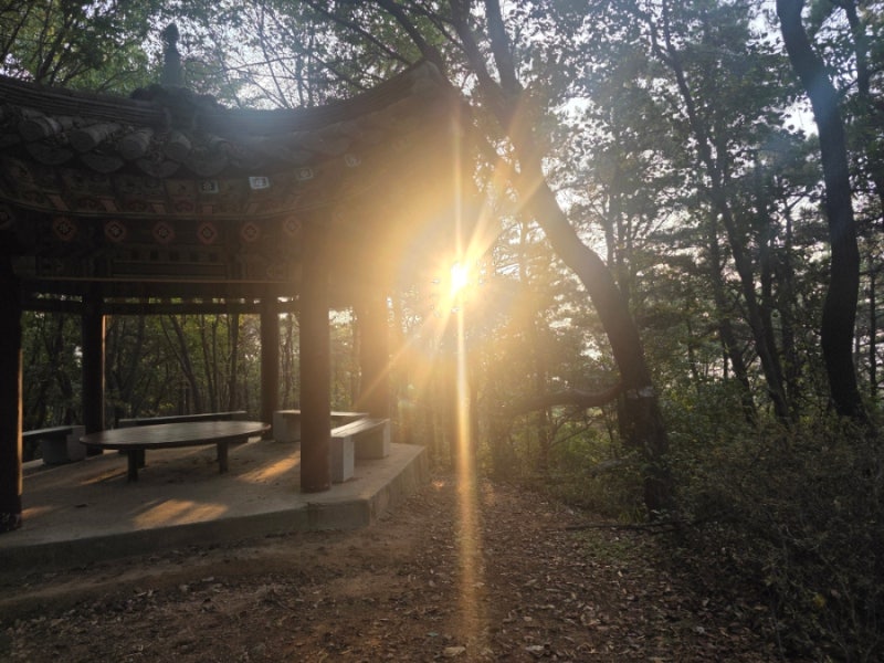 기안 84의 눈뽕 키우기