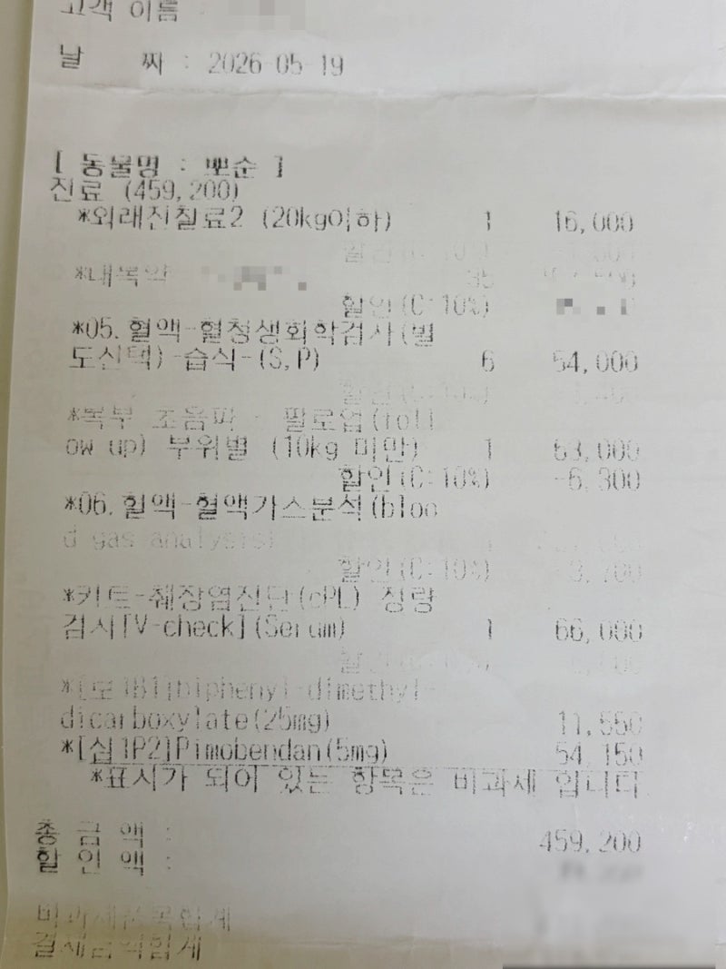 강아지 췌장염 검사 비용 치료｜검사수치부터 만성 관리까지