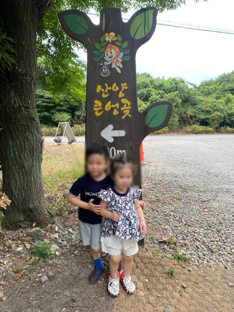 제주 서부여행 가볼만한 곳 정리