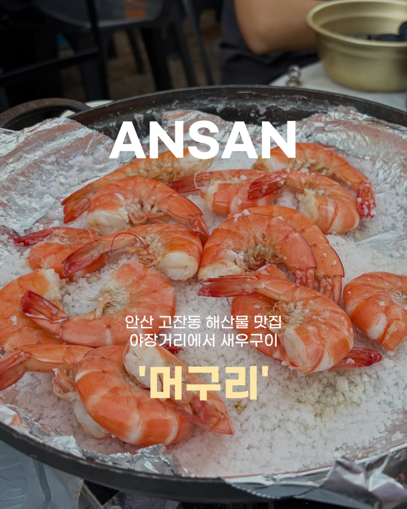안산 고잔동 야장거리 새우구이 맛집 [머구리]
