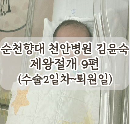 순천향대 천안병원 산부인과 김윤숙 제왕절개 9편 제왕절개 2일차부터 퇴원일까지
