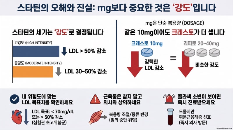 리피토 vs 크레스토 — 같은 10mg이어도 세기가 다릅니다