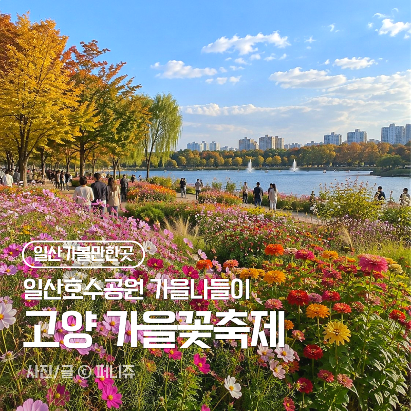 10월 가을 꽃나들이는 여기! 2026 고양 가을꽃축제 일정부터 일산호수공원 꿀팁 총정리