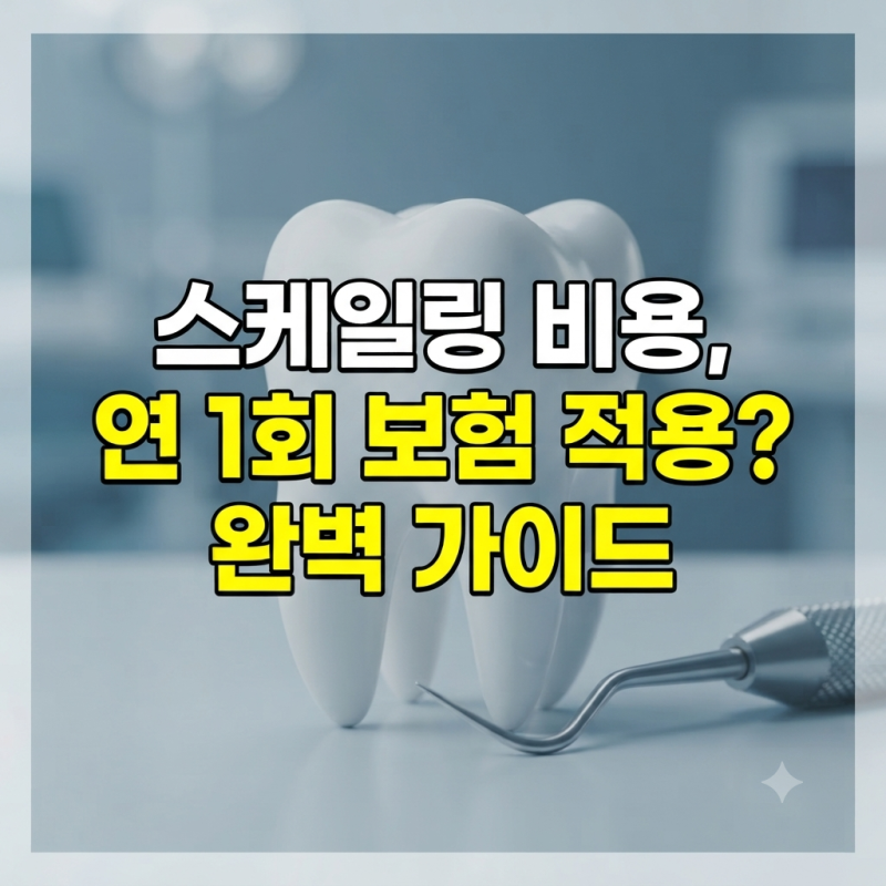스케일링 비용 얼마일까? 연 1회 보험 적용 기준과 권장 주기 완벽 가이드