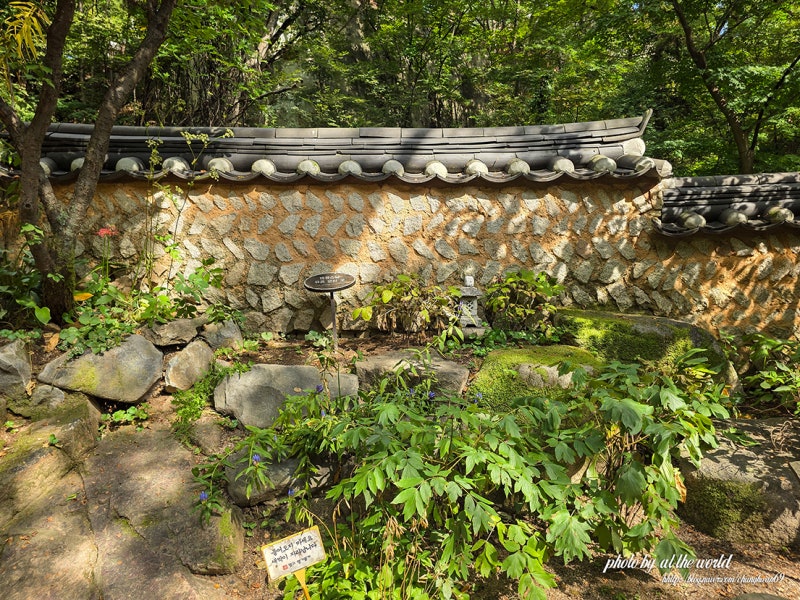 서울 가볼만한곳 꽃무릇과 법정 스님의 숨결을 따라 성북동 길상사 가을 산책