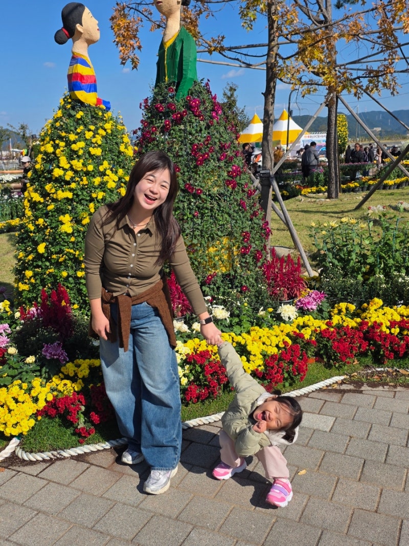 2026 마산 가고파 국화축제 일정｜작년 직접 다녀온 후기와 올해 축제 정보