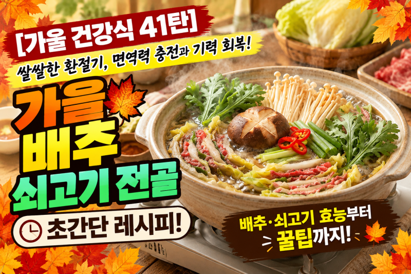 [가을 건강식 41탄] 쌀쌀한 환절기, 면역력 충전과 기력 회복! '가을 배추 쇠고기 전골' 초간단....