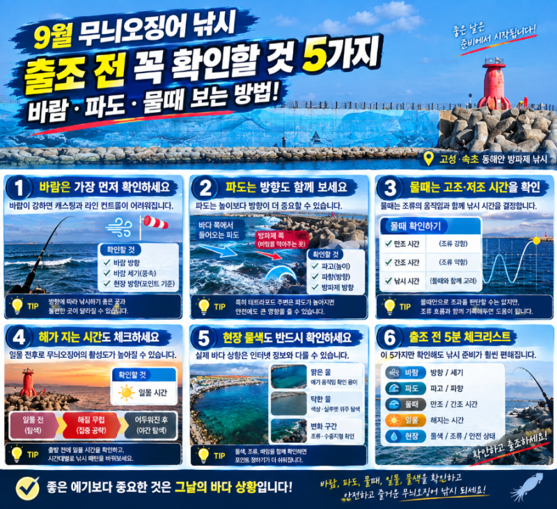 9월 무늬오징어 낚시 출조 전 꼭 확인할 것 5가지 바람·파도·물때 보는 방법