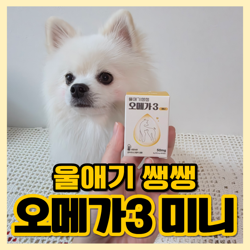 고양이 오메가3 효능 알아보고 강아지도 선택한 울애기쌩쌩 오메가3 미니 후기