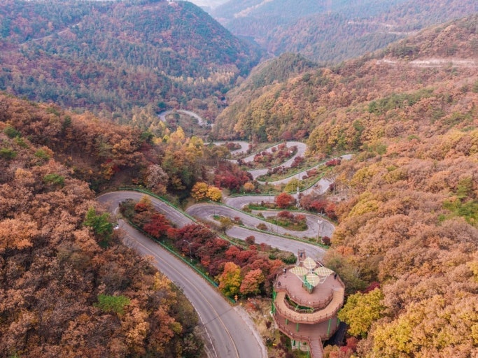 [충북 보은 가볼 만한 곳] 단풍빛 구불구불 꼬부랑길의 장관! 보은 말티재 전망대 완벽 가이....