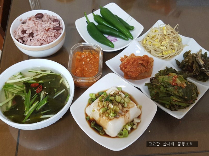유방암 예방 음식 콩 십자화과 채소 폐경 후 식단법