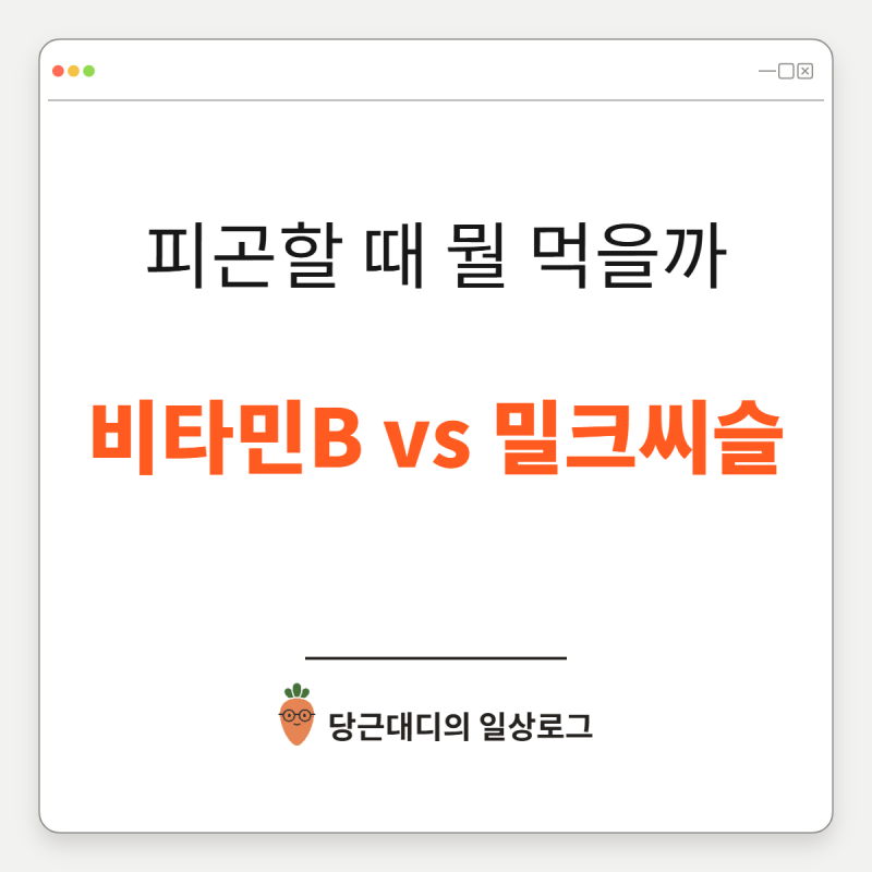 피로 회복 영양제 추천, 비타민B군 vs 밀크씨슬 차이 알고 드시나요?