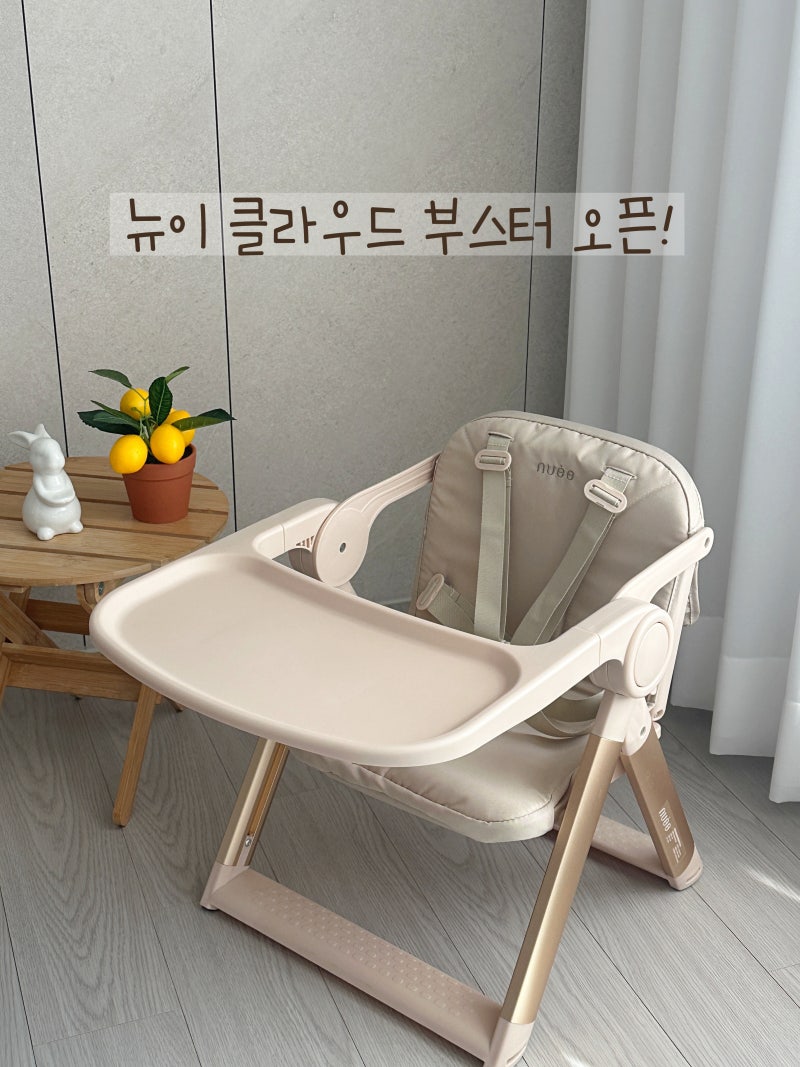 이유식준비물 추천! 뉴이 클라우드 부스터 공구 오픈 (솔직한 추천이유)