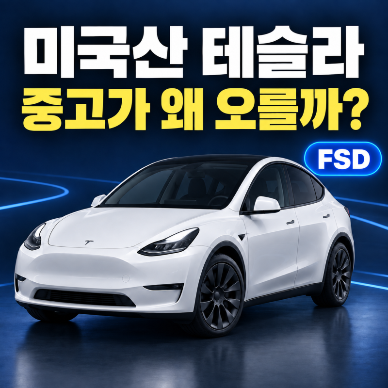 미국산 테슬라 중고가격이 오르는 이유, 연식보다 FSD가 몸값을 갈랐어요