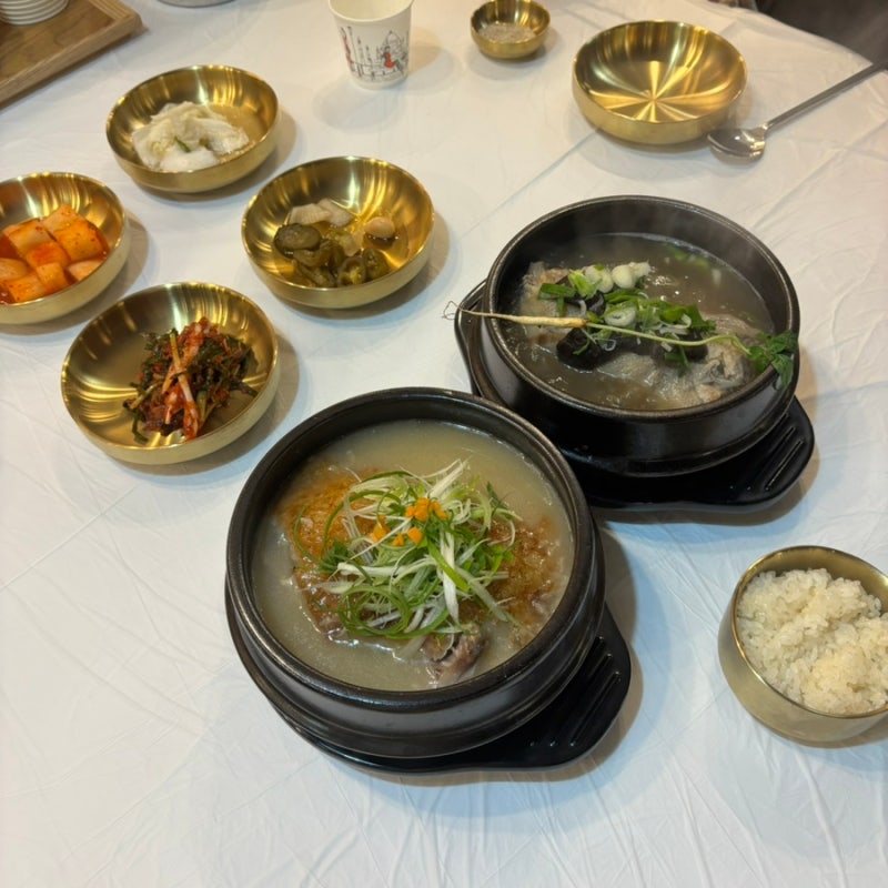 창원 상남동 맛집 아이랑 오기좋은 삼계탕 평상집