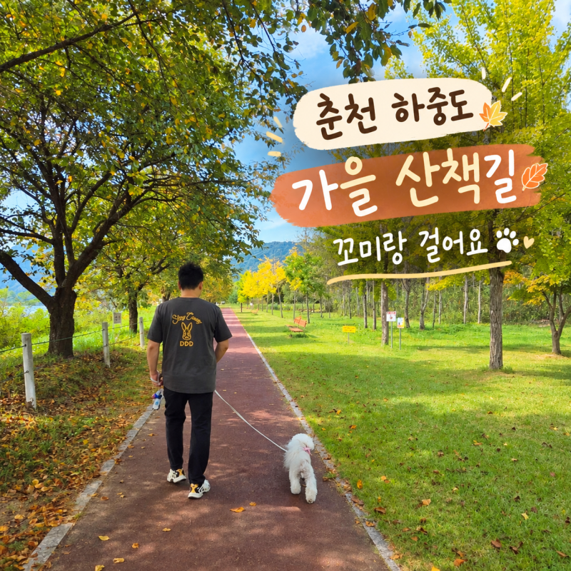 춘천 애견동반 산책 추천｜우리는 레고랜드 대신 하중도생태공원 산책했어요
