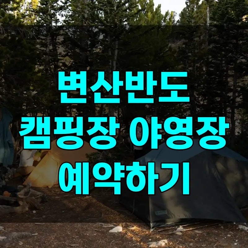 변산반도 국립공원 캠핑장 예약하기, 고사포 야영장 직소천까지, 짝수 달 놓치면 남는 방법