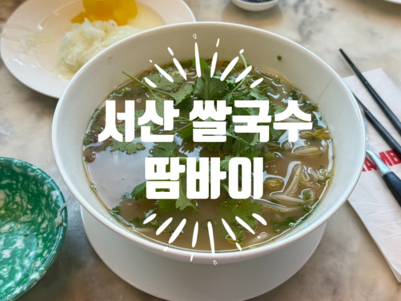 충남 서산 쌀국수 맛집 땀바이 소고기쌀국수 스프링롤 점심 내돈내산 후기