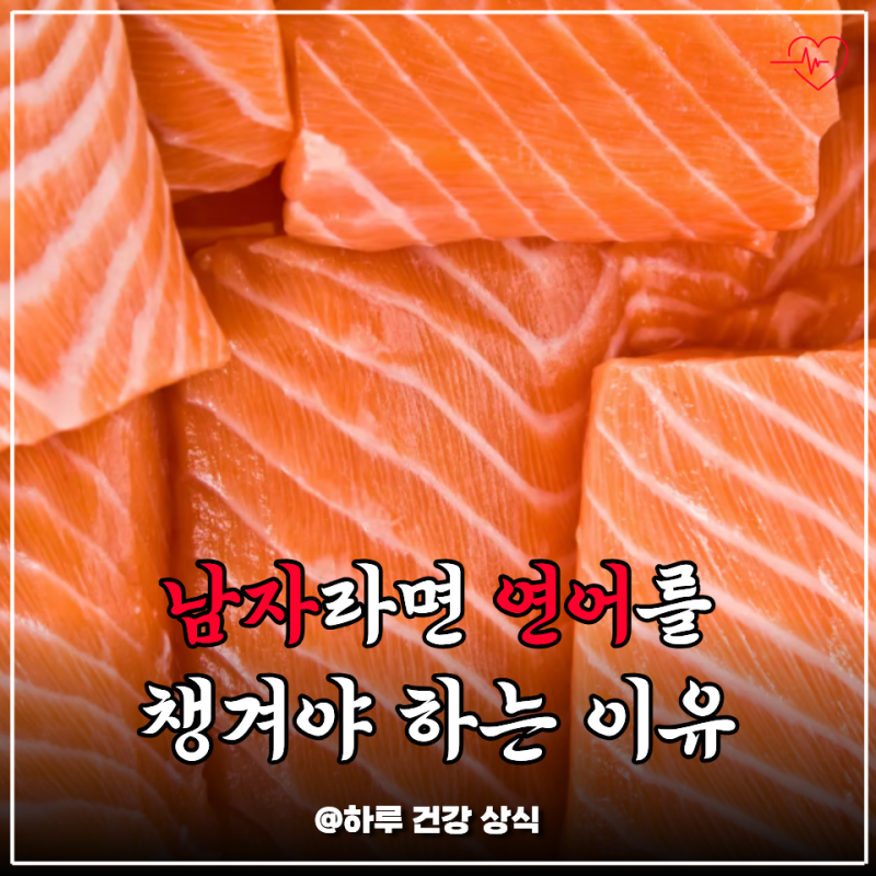 연어 효능 남자한테 좋은 이유, 콜레스테롤에 빨간 줄 뜨고 알았어요