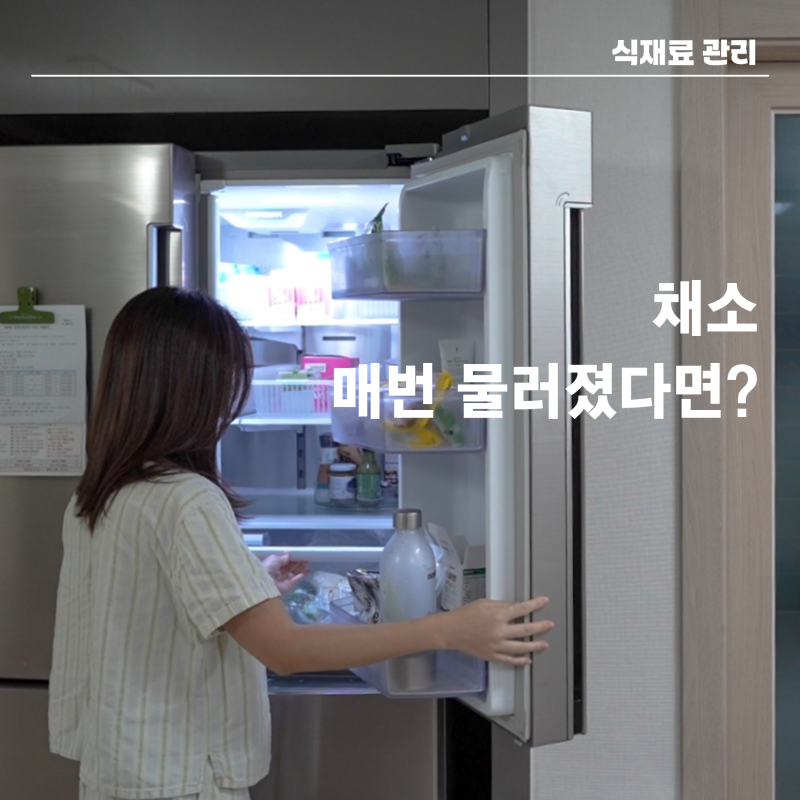 "10초 만에 만드는" 종이백 야채 보관 용기로 채소 오래 보관하는 법