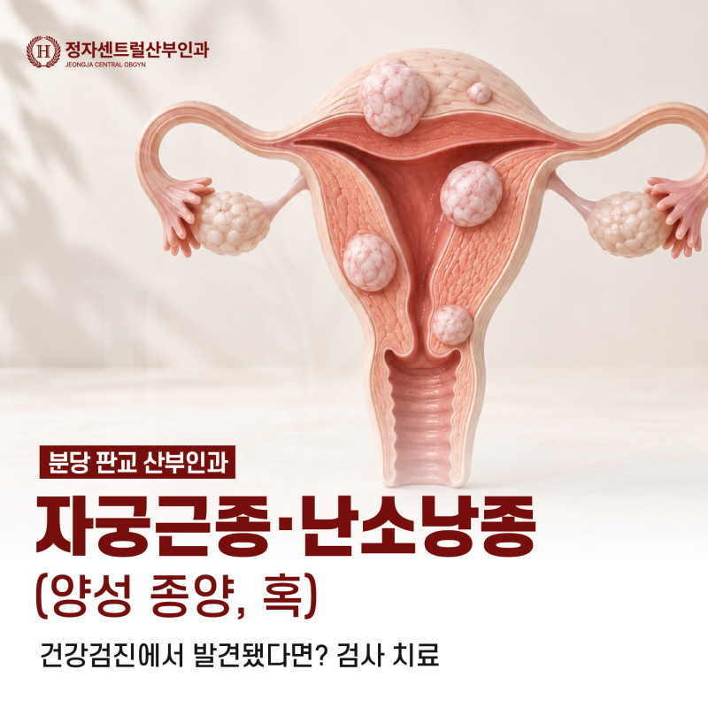 분당 판교 산부인과｜자궁근종·난소낭종 (양성 종양, 혹), 건강검진에서 발견됐다면? 검사 ....