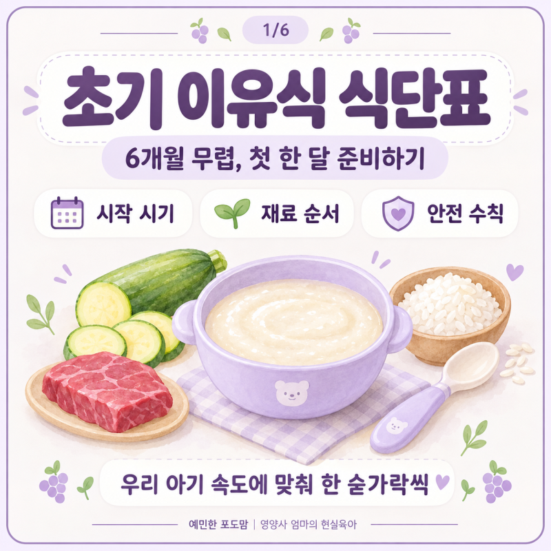 초기 이유식 식단표｜6개월 아기 첫 한 달 재료 순서와 시작 시기