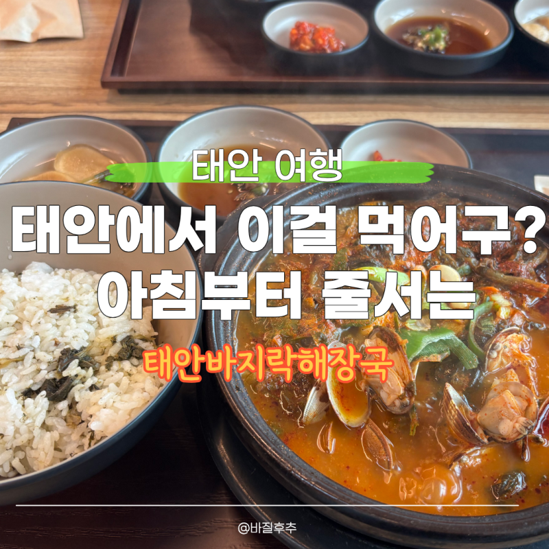 태안 바지락해장국 맛집, 아침 8시부터 사람이 몰리는 이유_아침8시웨이팅