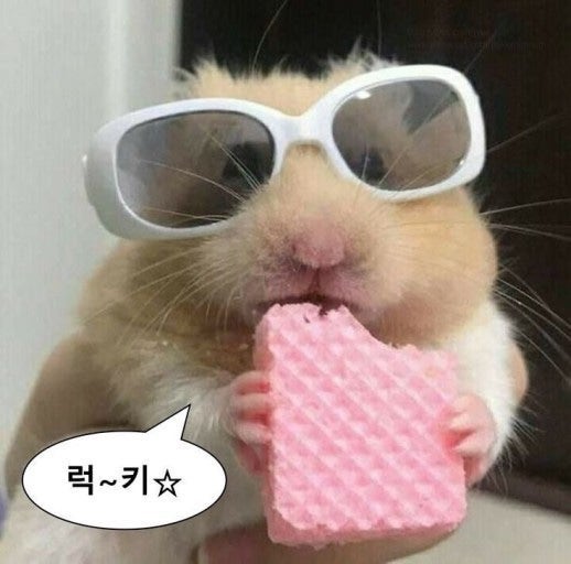 ☆산업안전기사 필기 하루 만에 합격하는 법★