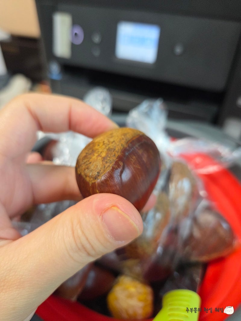 밤 삶는 방법, 햇밤 냄비에 맛있게 삶는법과 삶는 시간 정리