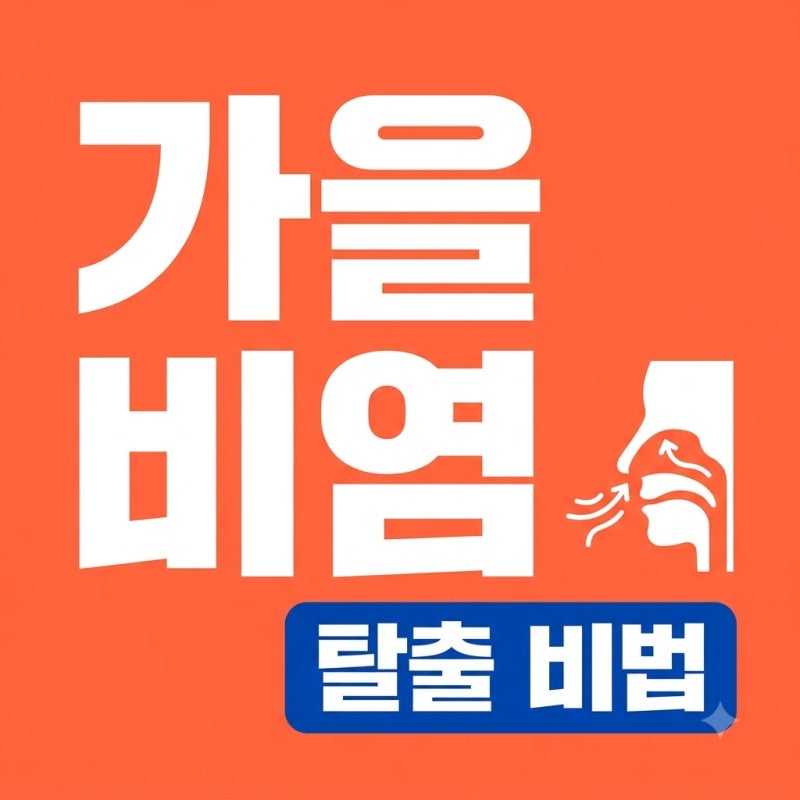 가을 알레르기 비염 심할 때 낫는 법? 5가지 핵심 생활 관리법