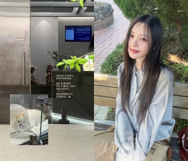 이솔이 반려견 오늘 밤이 고비… 박성광과 이혼설 일축 후 전해진 안타까운 근황