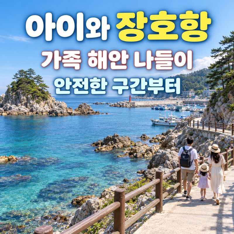 삼척 장호항 가족 바다 나들이, 쉬는 자리와 안전을 먼저 챙기기
